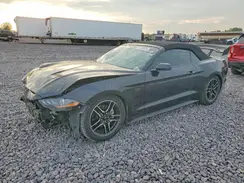 1FATP8UH1K5177028 2019 FORD MUSTANG