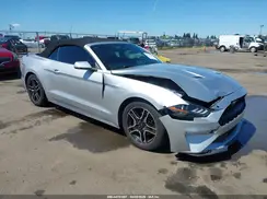 1FATP8UH1K5181550 2019 FORD MUSTANG