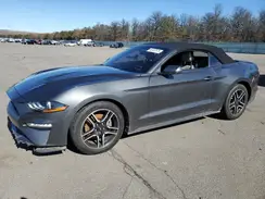1FATP8UH1K5181855 2019 FORD MUSTANG