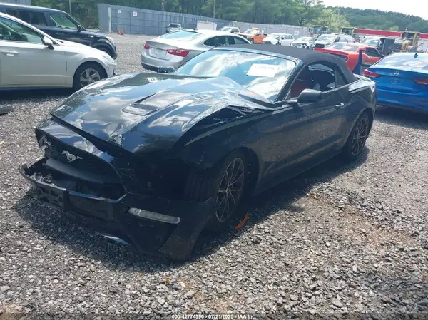 1FATP8UH1K5186649 2019 FORD MUSTANG - Image 2