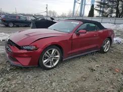 1FATP8UH1K5193844 2019 FORD MUSTANG
