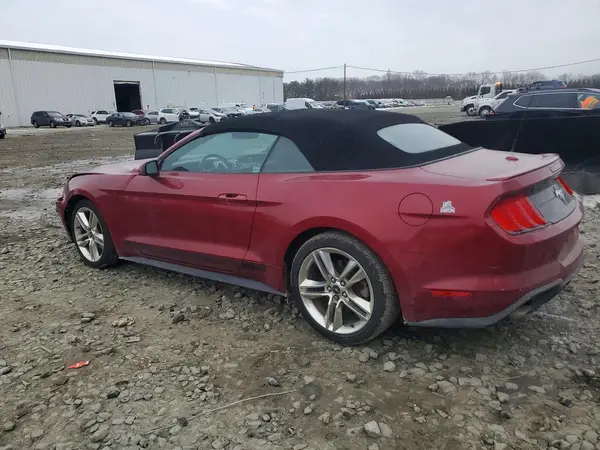 1FATP8UH1K5193844 2019 FORD MUSTANG - Image 2
