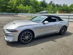 1FATP8UH1K5205197 2019 FORD MUSTANG