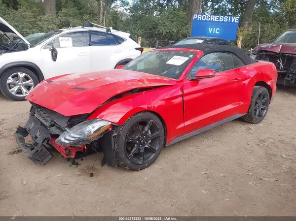 1FATP8UH1K5205278 2019 FORD MUSTANG - Image 2