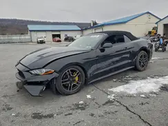 1FATP8UH1L5135685 2020 FORD MUSTANG