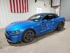 1FATP8UH1M5116183 2021 FORD MUSTANG