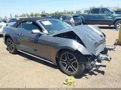 1FATP8UH1M5123053 2021 FORD MUSTANG