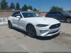1FATP8UH1N5101619 2022 FORD MUSTANG