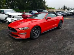 1FATP8UH1P5102403 2023 FORD MUSTANG