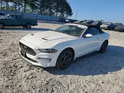 1FATP8UH1P5105334 2023 FORD MUSTANG