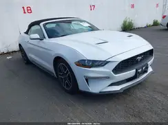 1FATP8UH1P5105365 2023 FORD MUSTANG