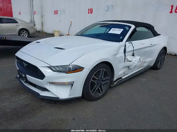 1FATP8UH1P5105365 2023 FORD MUSTANG - Image 2