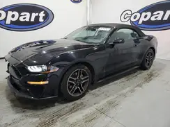 1FATP8UH1P5109996 2023 FORD MUSTANG