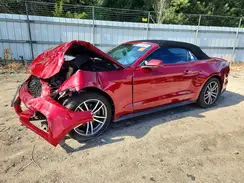 1FATP8UH2H5230425 2017 FORD MUSTANG