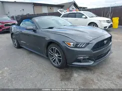 1FATP8UH2H5318729 2017 FORD MUSTANG