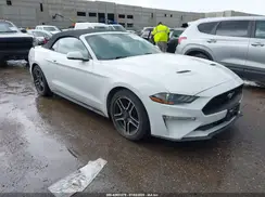 1FATP8UH2K5109224 2019 FORD MUSTANG