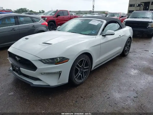 1FATP8UH2K5109224 2019 FORD MUSTANG - Image 2