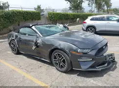 1FATP8UH2K5109384 2019 FORD MUSTANG