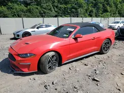1FATP8UH2K5109787 2019 FORD MUSTANG