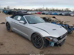 1FATP8UH2K5109966 2019 FORD MUSTANG