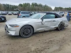 1FATP8UH2K5131207 2019 FORD MUSTANG
