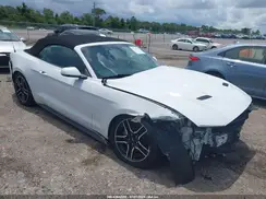 1FATP8UH2K5131420 2019 FORD MUSTANG
