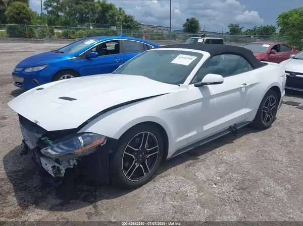 1FATP8UH2K5131420 2019 FORD MUSTANG - Image 2