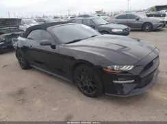 1FATP8UH2K5135340 2019 FORD MUSTANG