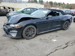 1FATP8UH2K5137914 2019 FORD MUSTANG