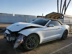1FATP8UH2K5138514 2019 FORD MUSTANG