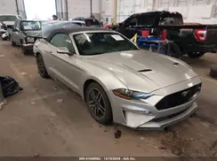 1FATP8UH2K5138609 2019 FORD MUSTANG