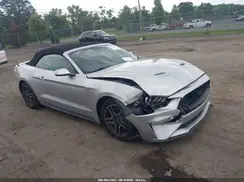 1FATP8UH2K5138805 2019 FORD MUSTANG