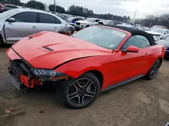 1FATP8UH2K5138870 2019 FORD MUSTANG