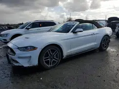 1FATP8UH2K5148623 2019 FORD MUSTANG