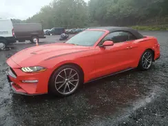 1FATP8UH2K5149576 2019 FORD MUSTANG