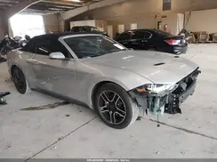 1FATP8UH2K5150551 2019 FORD MUSTANG