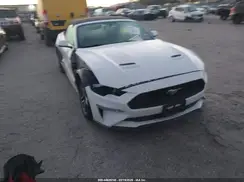 1FATP8UH2K5161713 2019 FORD MUSTANG