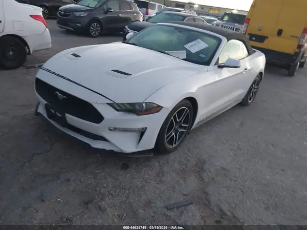 1FATP8UH2K5161713 2019 FORD MUSTANG - Image 2