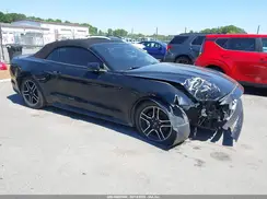 1FATP8UH2K5162246 2019 FORD MUSTANG
