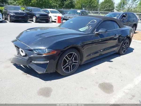 1FATP8UH2K5162246 2019 FORD MUSTANG - Image 2