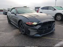 1FATP8UH2K5170170 2019 FORD MUSTANG