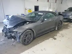 1FATP8UH2K5171061 2019 FORD MUSTANG