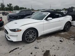 1FATP8UH2K5178768 2019 FORD MUSTANG