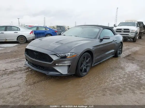 1FATP8UH2K5179726 2019 FORD MUSTANG - Image 2