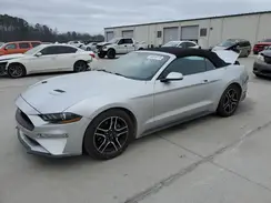1FATP8UH2K5181962 2019 FORD MUSTANG