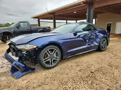 1FATP8UH2K5182061 2019 FORD MUSTANG
