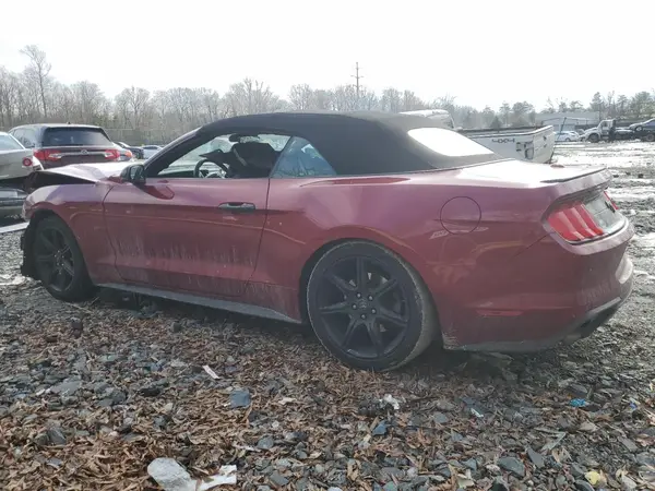 1FATP8UH2K5187647 2019 FORD MUSTANG - Image 2