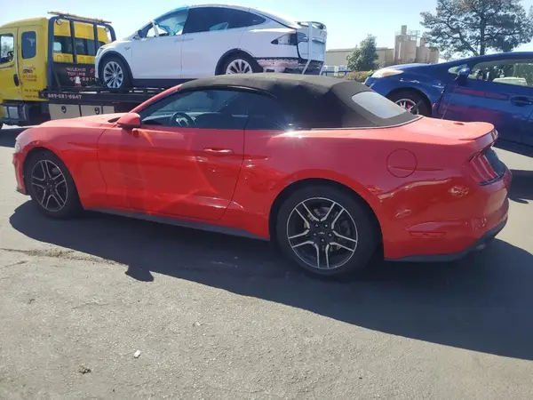 1FATP8UH2K5193495 2019 FORD MUSTANG - Image 2