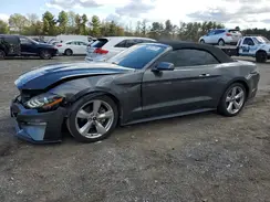 1FATP8UH2K5195781 2019 FORD MUSTANG