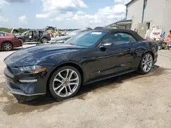 1FATP8UH2K5197126 2019 FORD MUSTANG